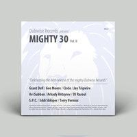 Various Artists - Dubwise Pres. Mighty 30, Vol. II