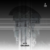 MSTE - Orangia