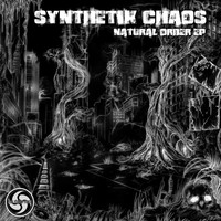 Synthetik Chaos - Natural Order