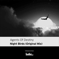 Agents Of Destiny - Night Birds - Single