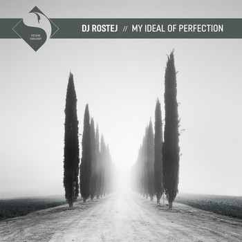DJ Rostej - My Ideal of Perfection