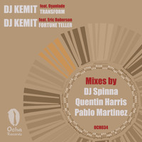 DJ Kemit - Fortune Teller / Transform