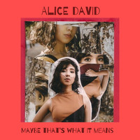 Alice David - Maybe That's What It Means