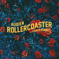 Audien - Rollercoaster
