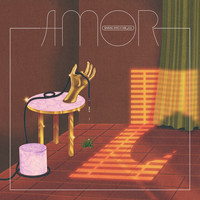 AMOR - Phantoms of the Sun