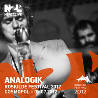 Analogik - Roskilde Festival 2012