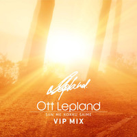 Ott Lepland - Siin me kokku saime VIP Mix