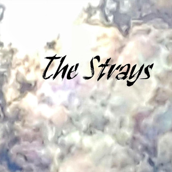 The Strays - I Won't Be Around