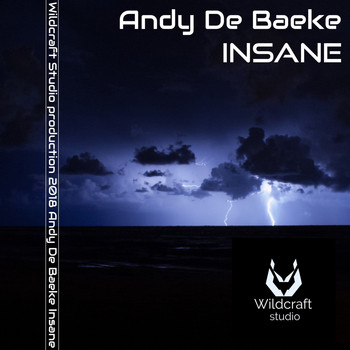 Andy De Baeke - Insane