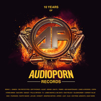 Various Artists - 10 Years of Audioporn Records LP