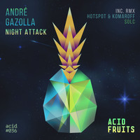 Andre Gazolla - Night Attack