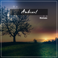 ambiente spazio musica, Spa Chillout Music Collection, Meditation Focus - #10 Ambient Noises for Spa Relaxation or Meditative Calm