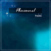 Spa, Spa Music Paradise, Spa Relaxation - #11 Phenomenal Tracks for Spa & Relaxation