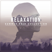 Rain for Deep Sleep, Sleep Sounds of Nature, Rain Sounds Sleep - #16 Relaxation Summer Rain Collection for Deep Sleep
