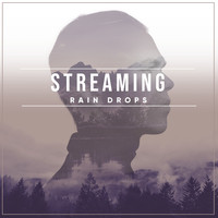 Nature Sounds, Rain Sounds Nature Collection, Nature Sounds Nature Music - #24 Streaming Rain Drops from Nature