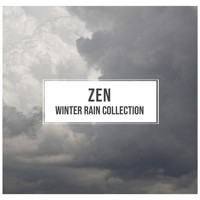 Sample Rain Library, Nature Recordings, Ambientalism - #10 Zen Winter Rain Collection
