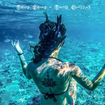 Terra Ferma - Turtle Crossing