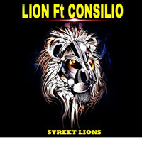 Lión - Street Lions