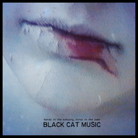 Black Cat Music - Hands in the Estuary, Torso in the Lake (Explicit)