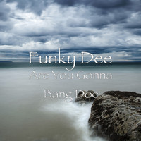 Funky Dee - Are You Gonna Bang Doe (Explicit)