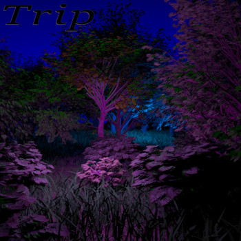 Noir - Trip (Explicit)