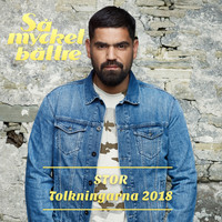 STOR - Så mycket bättre 2018 - Tolkningarna