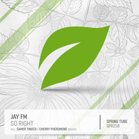 Jay FM - So Right