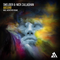 Sneijder & Nick Callaghan - Absorb (Niall McKeever Remix)