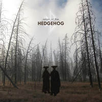 Hedgehog - Return of the Hedgehog