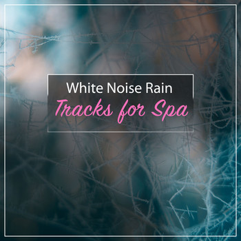 Sleep Sounds of Nature, The Sleep Specialist, Ambient Rain - 14 RainAlbum for Ultimate Calm