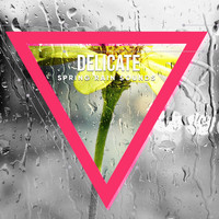 Echoes of Nature, Soothing Nature Sounds, Rainforest Sounds - #18 Delicate Spring Rain Sounds