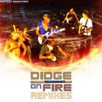 Didge on Fire - The Remixes
