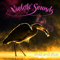 Violette Sounds - Wild and Blue