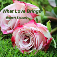 Robert Stanley - What Love Brings