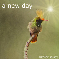 Anthony Baskey - A New Day
