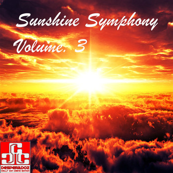 Various Artists - Sunshine Symphony, Vol.3 (SELECTED CHILL HOUSE &amp; LOUNGE TRACKS)