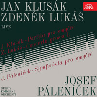 Suk Chamber Orchestra - Klusák, Lukáš, Páleníček (Live)