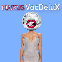 Fluxus - VocDeluX