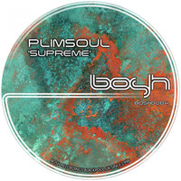 Plimsoul - Supreme