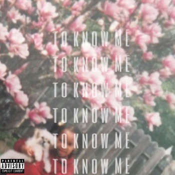 Justice - To Know Me (Explicit)