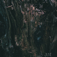 FTR - June