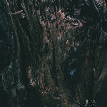 FTR - June
