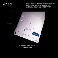Vandra - Miss You