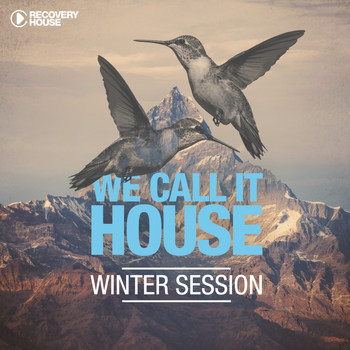 Various Artists - We Call It House - Winter Session 2015