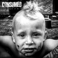 Consumed - A Decade of No