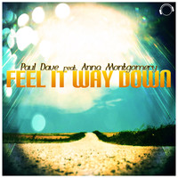 Paul Dave - Feel It Way Down