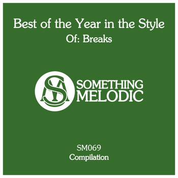 Various Artists - Best of the Year in the Style Of: Breaks
