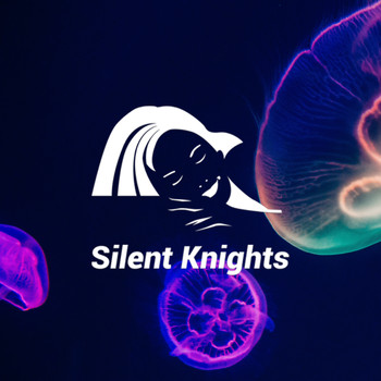 Silent Knights - Deep Sleep Sounds