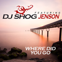 DJ Shog - Where Did You Go