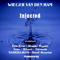 Wieger Van Den Ham - Injected